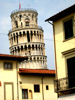 Pisa tower growing of a roof.