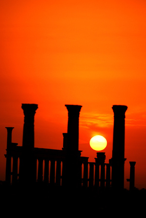 Palmyra at sunrise