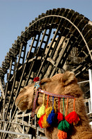 Hama water wheel and camel.