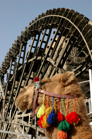 Hama water wheel and camel.