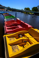 Torrens River paddle boats