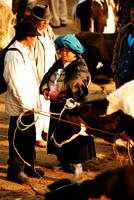 Otavalo market animal section