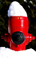 Whistler fire hydrant