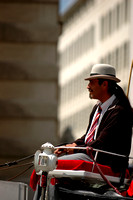 Viennese buggy driver