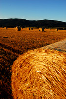 Hay fields in Hrabusice