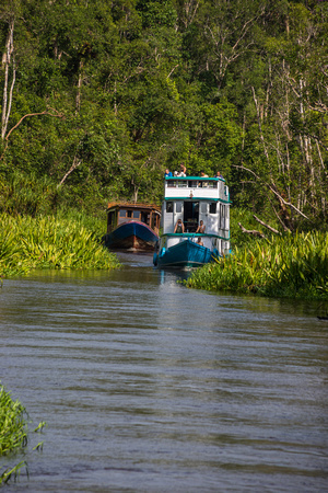 Cruising Tanjung Puting