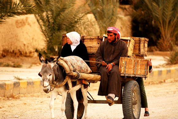 Homegrown transport at Palmyra.