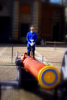 Swedish Royal Guard
