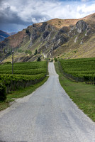 Gibbston Valley