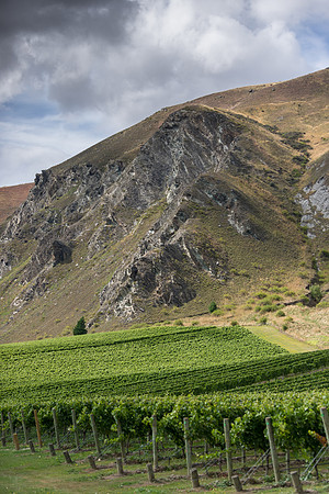 Gibbston Valley