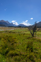 Mt Aspiring NP