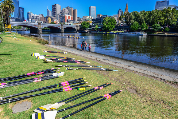 Rowers unite on the Yarra