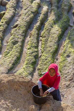 Seaweed farmer