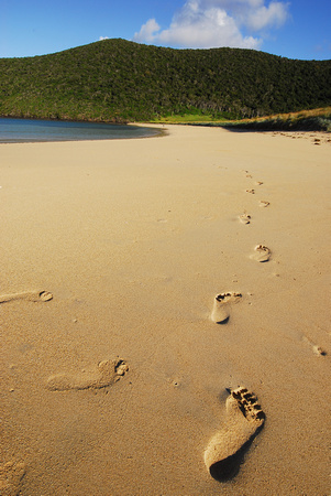 Footprints at Old Settlement Beach