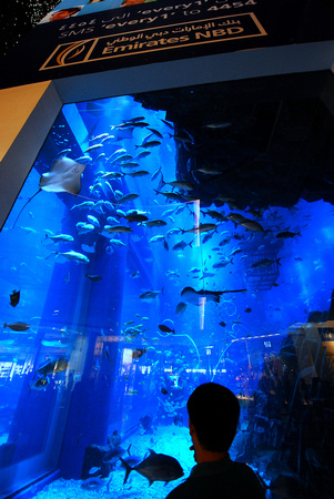 Indoor aquarium
