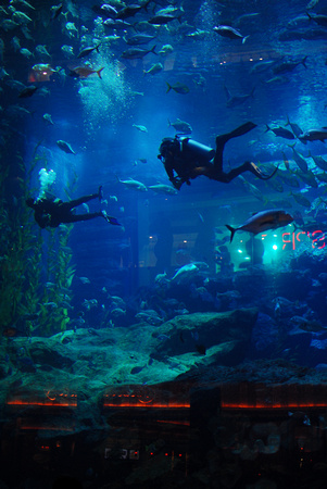Indoor aquarium