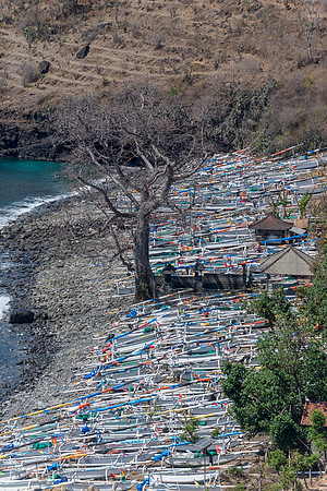 Amed