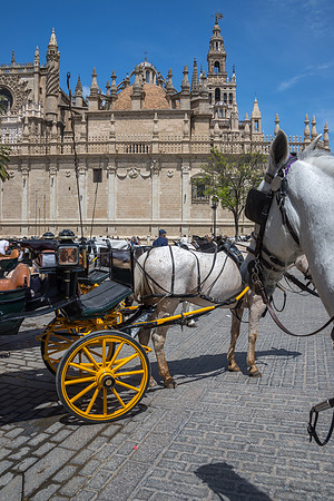 Seville